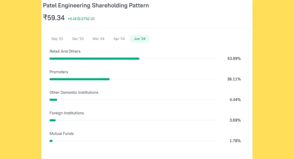 Patel Engineering Share Price Promoter Holding