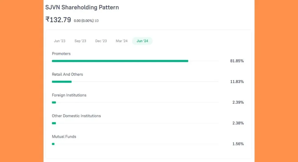 SJVN Share Price Holding Pattern