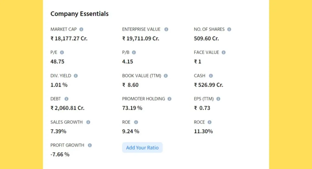 Trident Share Price Fundamental Analysis