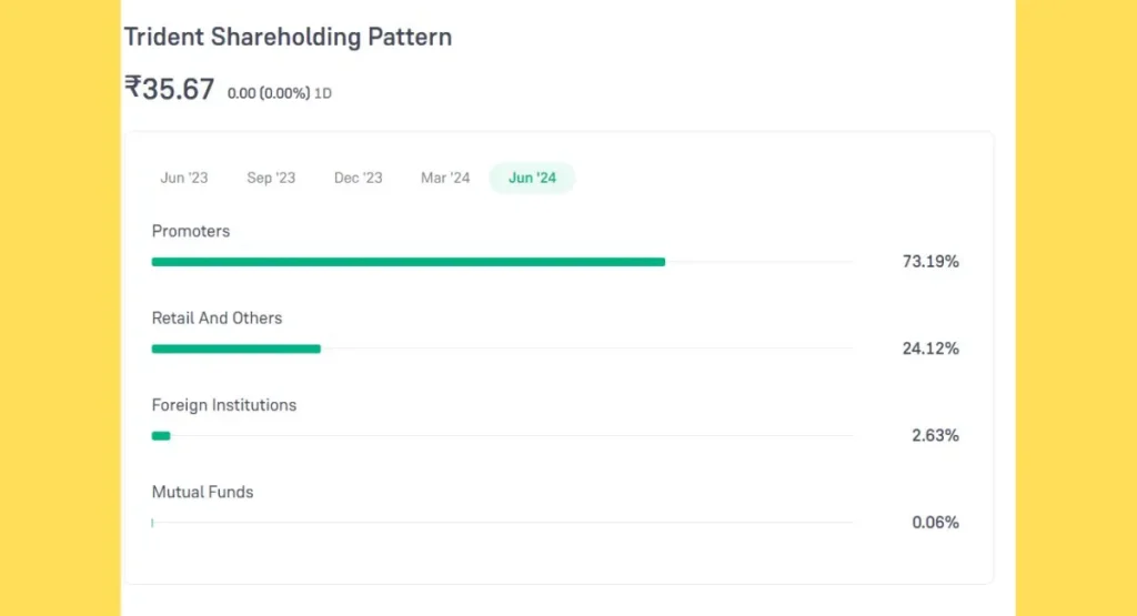 Trident Share Price Holding Pattern